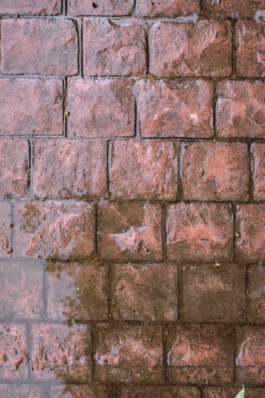 Decorative Concrete Repair in Sarasota, FL